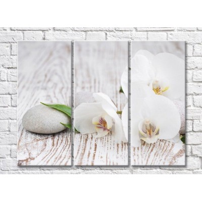 Картина Magic Color White orchid flowers and stones on a wooden background (500076)