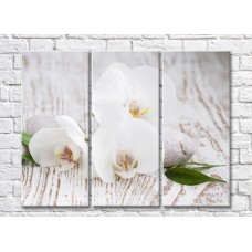 Картина Magic Color White orchid flowers and stones on a plank background (500077)