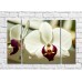 Картина Magic Color White orchid flowers with a Purple core (500079)