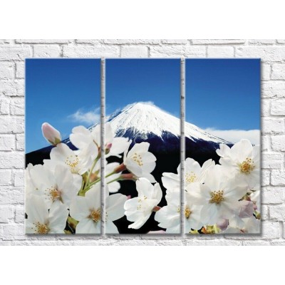 Картина Magic Color White Sakura flowers against the background of Mount Fuji (500081)