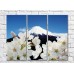 Картина Magic Color White Sakura flowers against the background of Mount Fuji (500081)