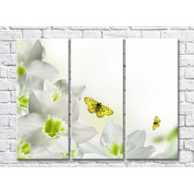 Картина Magic Color White flowers and Yellow butterflies (500082)