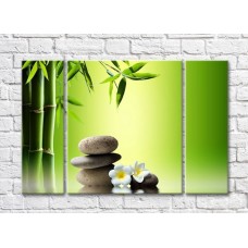 Pictură Magic Color White flowers and stones on a Green background with bamboo (500083)