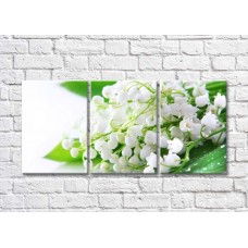 Pictură Magic Color White lily of the valley flowers on Green leaves with dew (500084)