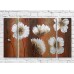 Pictură Magic Color White flowers on Brown background (3572551)