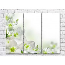 Pictură Magic Color White flowers with a Green heart on a White background (500085)