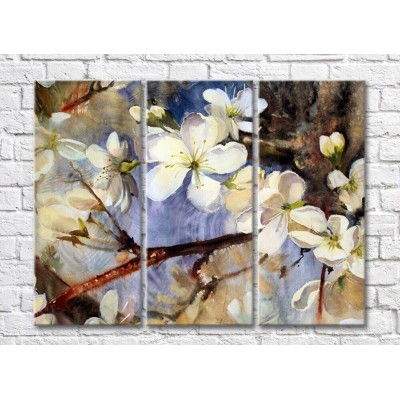 Pictură Magic Color White Sakura flowers on the background of branches-drawing (500089)