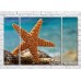 Картина Magic Color Big starfish by the sea (3469213)