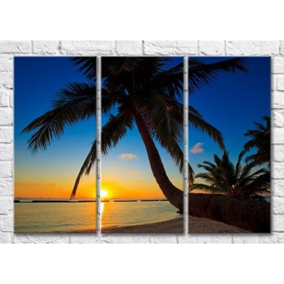 Картина Magic Color Big palm tree on the beach during sunset (3469129)