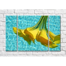 Картина Magic Color Bouquet of Yellow calla lilies on the Turquoise water of the pool (500109)