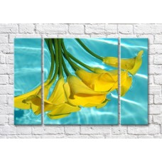 Картина Magic Color Bouquet of Yellow calla lilies on Turquoise water background (500110)