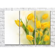 Картина Magic Color Bouquet of Yellow tulips on a Light background (500111)