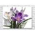 Картина Magic Color Bouquet of White and Purple crocuses (500113)