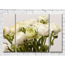 Картина Magic Color Bouquet of White peonies (3572554)