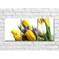 Картина Magic Color Bouquet of Yellow and White tulips and Lilac iris (500114)