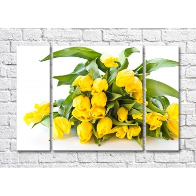 Картина Magic Color Bouquet of Yellow tulips on a White background (500115)