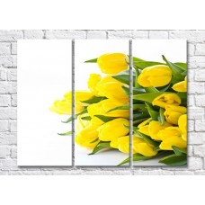 Картина Magic Color Bouquet of Yellow tulips on a Light background (500116)