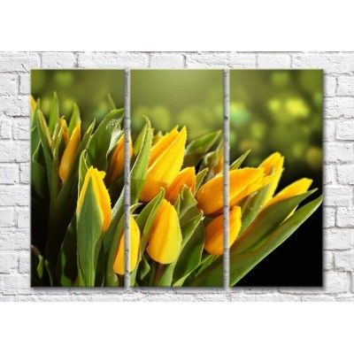 Картина Magic Color Bouquet of Yellow tulips on a Dark/Green background (500117)