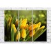 Картина Magic Color Bouquet of Yellow tulips on a Dark/Green background (500117)