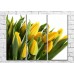 Картина Magic Color Bouquet of Yellow tulips with dew drops (500118)