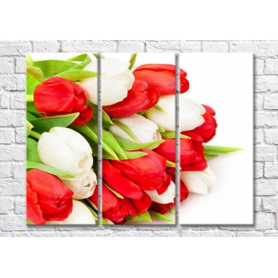 Картина Magic Color Bouquet of Red and White tulips (500119)