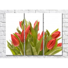 Картина Magic Color Bouquet of Red tulips (500121)