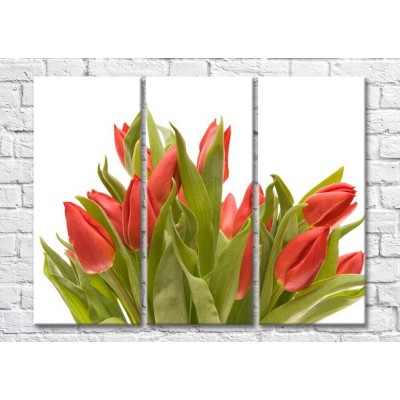 Картина Magic Color Bouquet of Red tulips (500121)