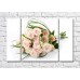 Картина Magic Color Bouquet of Cream roses on a White background (500122)