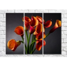 Pictură Magic Color Bouquet of Orange calla lilies on a Dark/Gray background (500124)