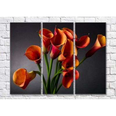 Pictură Magic Color Bouquet of Orange calla lilies on a Dark/Gray background (500124)