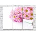 Pictură Magic Color Bouquet of Pink daisies with a message (500134)