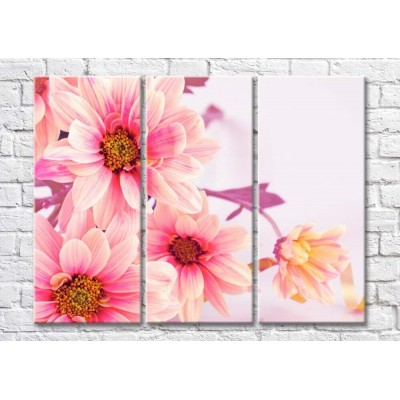 Pictură Magic Color Bouquet of Pink flowers on a White background (500135)