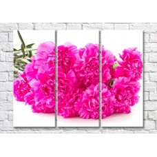 Pictură Magic Color Bouquet of Purple carnations (500139)