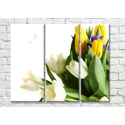 Pictură Magic Color Bouquet of Yellow and White tulips (500140)