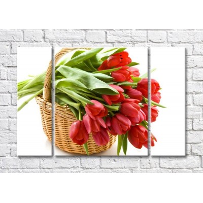 Pictură Magic Color Bouquet of Red tulips in a basket (500143)