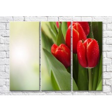 Pictură Magic Color Bouquet of Red tulips with dew drops (500144)