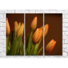 Pictură Magic Color Bouquet of Orange tulips on a Dark background (500147)