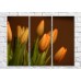 Pictură Magic Color Bouquet of Orange tulips on a Dark background (500147)