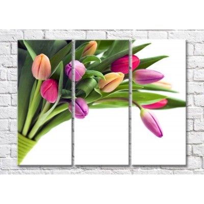 Pictură Magic Color Bouquet of Multicolored tulips with unopened flowers (500148)