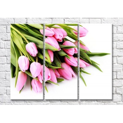 Pictură Magic Color Bouquet of Pink tulips on a White background (500155)