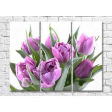 Картина Magic Color Bouquet of Lilac tulips (500158)