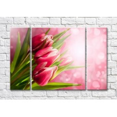 Картина Magic Color Bouquet of tulips on a Pink background (500160)