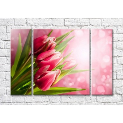 Картина Magic Color Bouquet of tulips on a Pink background (500160)