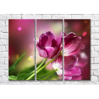 Картина Magic Color Bouquet of tulips on a Purple background (500162)