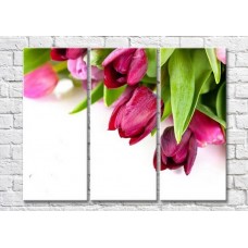 Картина Magic Color Bouquet of purple tulips on a White background (3448878)