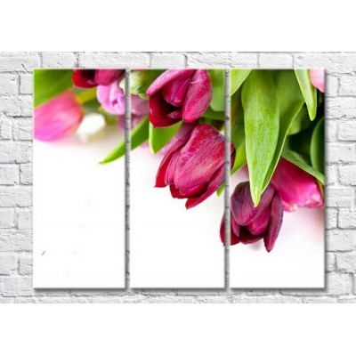 Pictură Magic Color Bouquet of purple tulips on a White background (3448878)