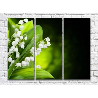 Картина Magic Color A bouquet of lilies of the valley on a Dark background (500164)