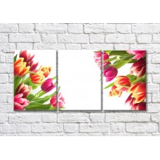 Картина Magic Color Bouquets of Multicolored tulips on a White background (500166)