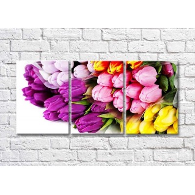 Картина Magic Color Bouquets of tulips of different colors (500167)