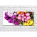 Картина Magic Color Bouquets of tulips of different colors (500167)